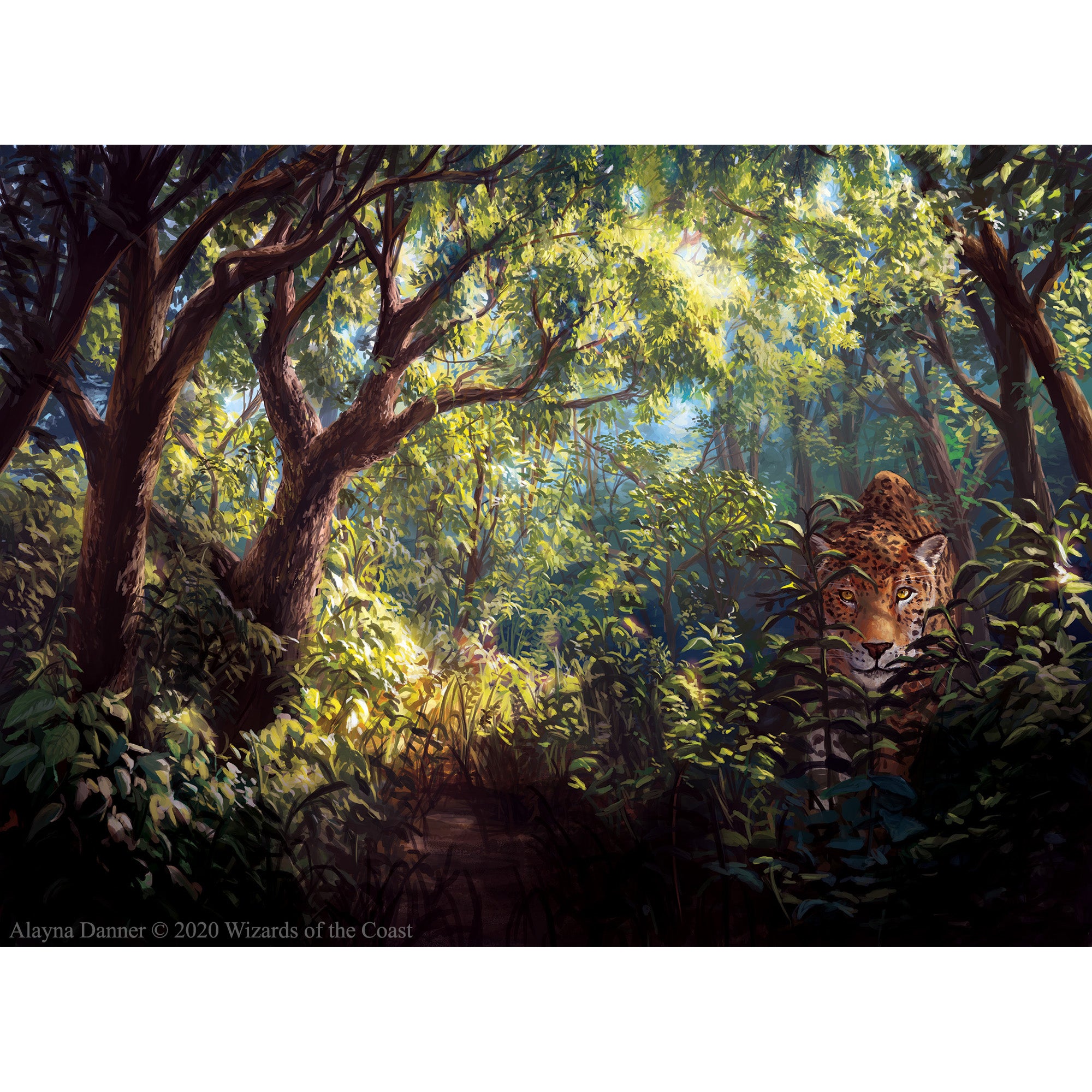 Prints | Alayna Danner