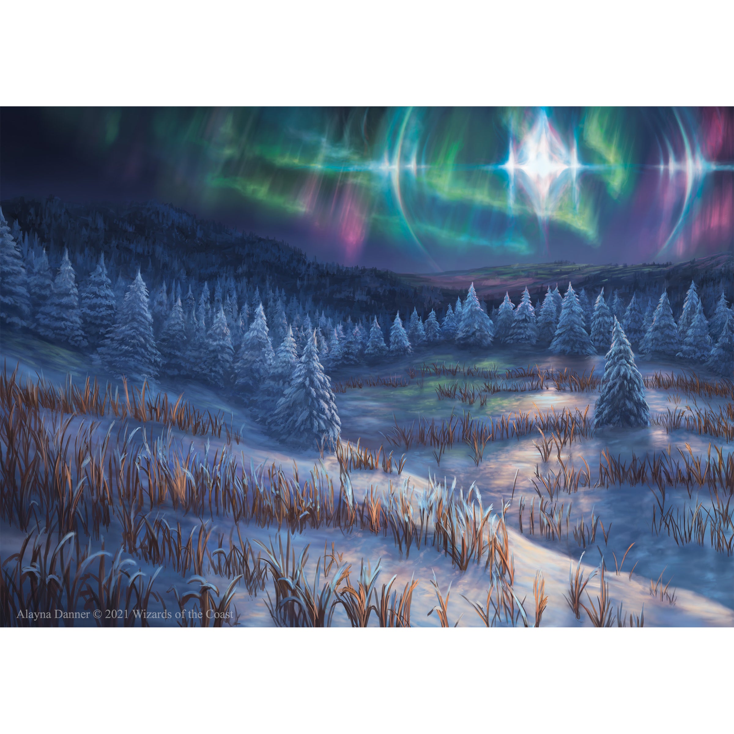 Prints | Alayna Danner