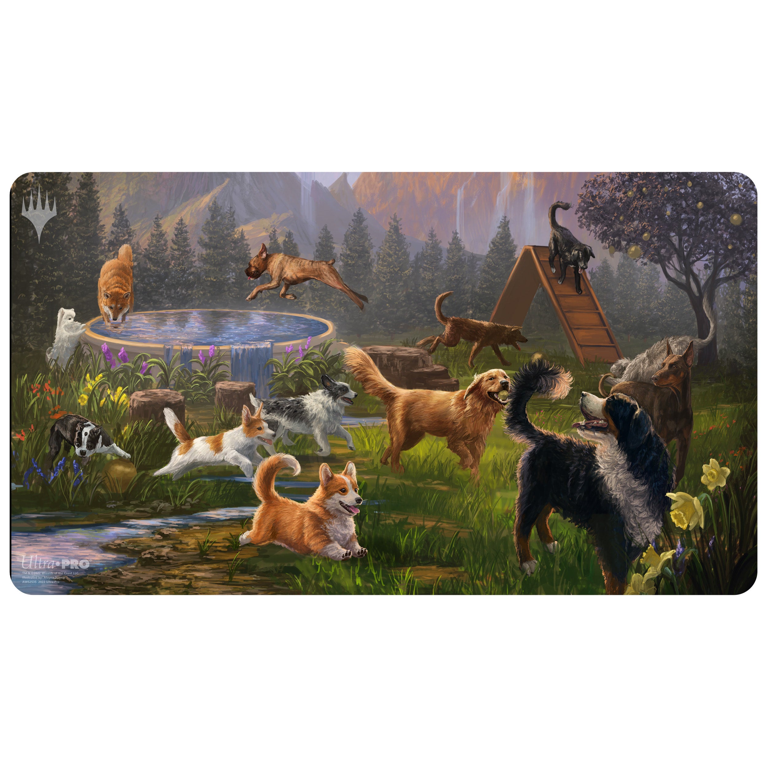 Dog Park Mountain playmat | Alayna Danner